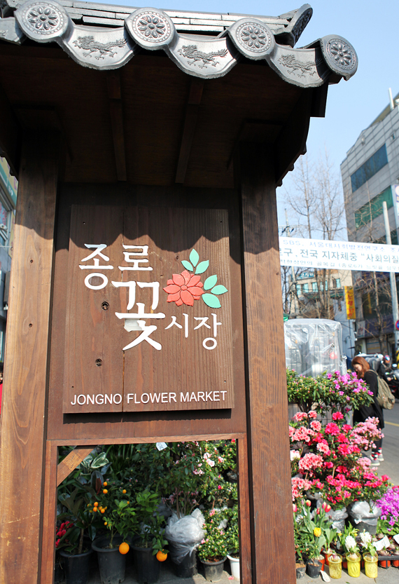 종로 꽃시장 종로 꽃시장